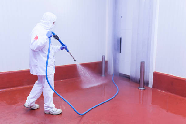 Best Pre-Holiday Cleaning  in Gruver, TX